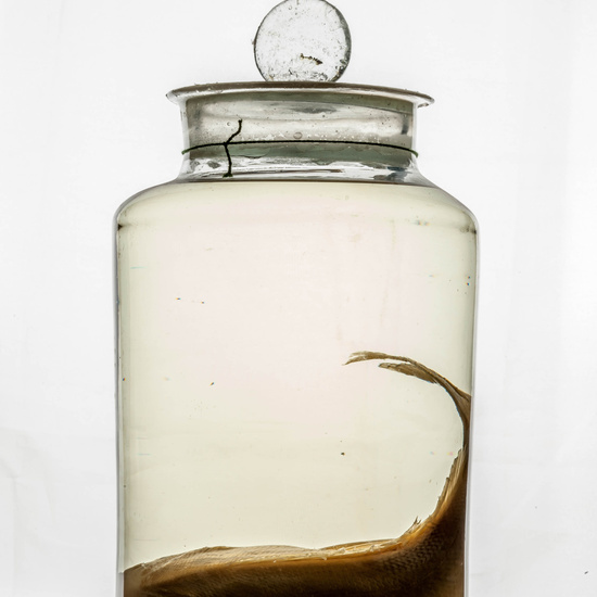 IES_CARDENALCISNEROS_CIENCIASNATURALES_331