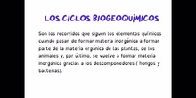 SECUNDARIA - 4° ESO - CICLOS BIOGEOQUÍMICOS - BIOLOGÍA - FORMACIÓN