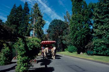 Paseo en carroza en Victoria, Canadá