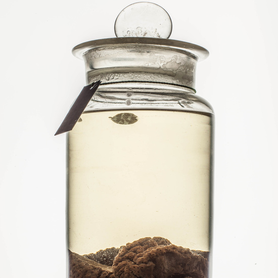 IES_CARDENALCISNEROS_CIENCIASNATURALES_002