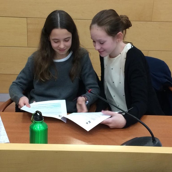 2019_11_20_Pleno Infantil Las Rozas 2019_CEIP FDLR_Las Rozas  2