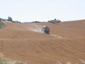 Cosechadora, Artajona, Navarra