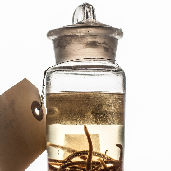 IES_SANISIDRO_MUSEO_BOTES_039