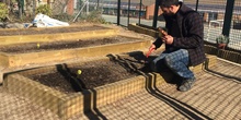Quinto de Primaria_Taller de Huerto Escolar_CEIP Fernando de los Ríos_Las Rozas 5