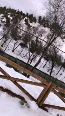 Fotografías Filomena 27