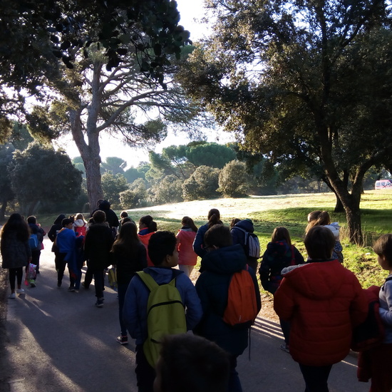 VISITA A GREFA. 5º CURSO 20