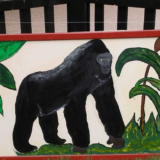 Semana Cultural 2018 3