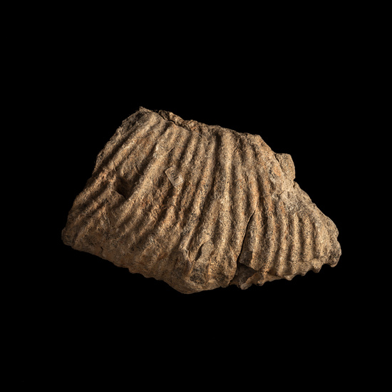 IES_CERVANTES_GEOLOGIA_006