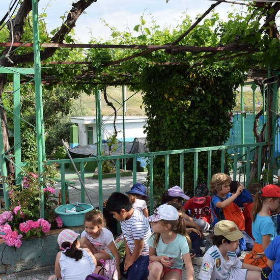 Siembra Huerta Balta 5 años 2018 7