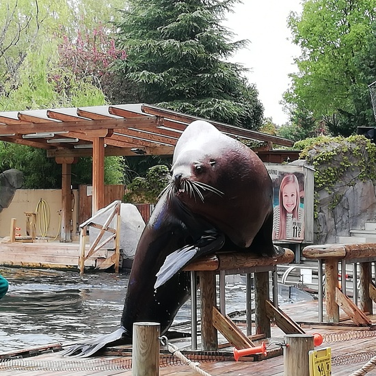 FAUNIA. 5º curso 29