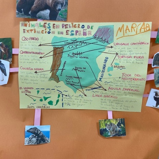 Proyecto animales en extinción 4
