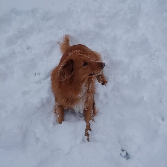 Fotografías Filomena 5