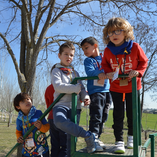 GRANJA ESCUELA ALBITANA 31