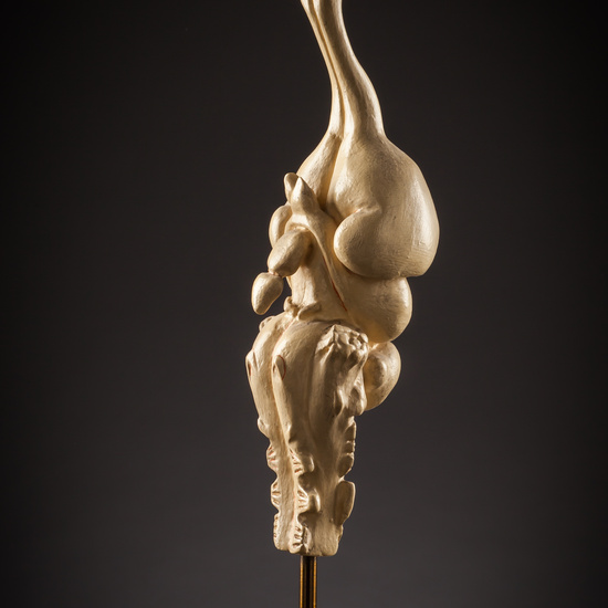 IES_SANISIDRO_BIOLOGIA_175