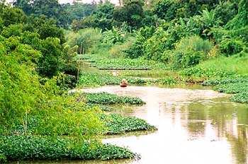 Río en el norte de Tailandia