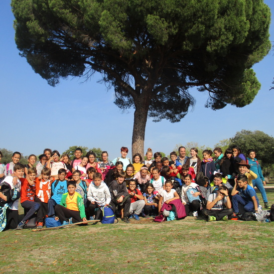 EN MÚLTIPLE 6º - 2019 (2ª Parte) 29