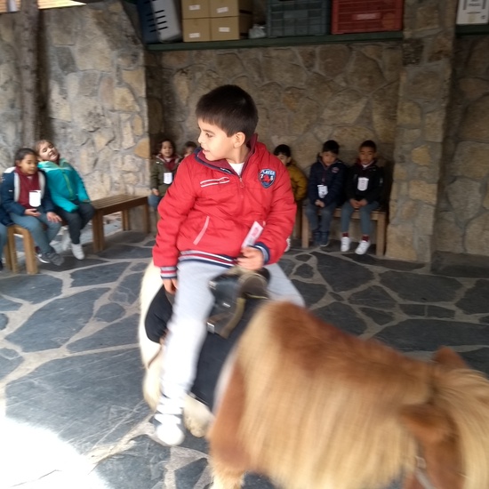 Granja de los Cuentos Infantiles II 30