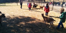 2016_inf 4 años a visita la granja 35