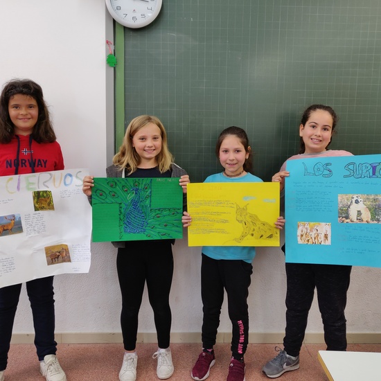 Fotos trabajos de Ciencias Naturales 5