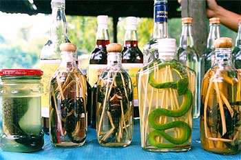 Muestras de licores lao con adornos interiores, Laos