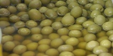 Aceitunas verdes