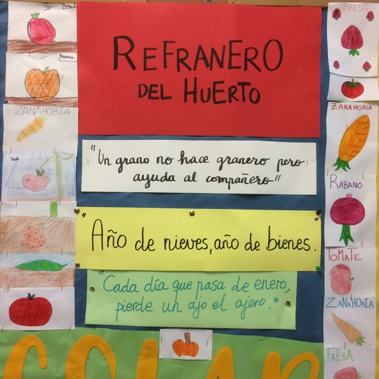 El huerto en febrero_CEIP FDLR_Las Rozas 4