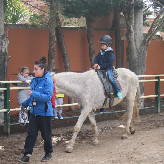 Granja Escuela Educación Infantil Curso 2017-18 32