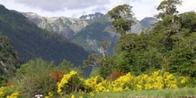 Vista desde el Puerto Blest, Argentina