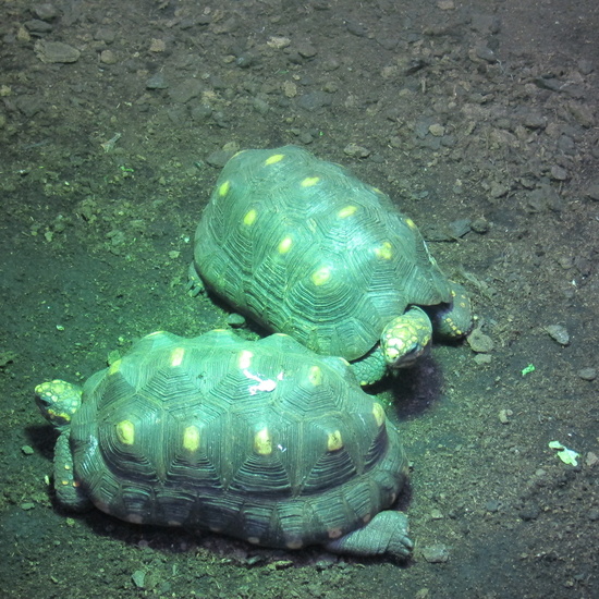 Granja Escuela Educación Infantil Curso 2017-18 13