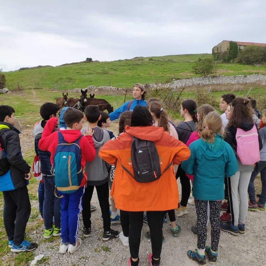 Inmersión lingüística en Llanes 8