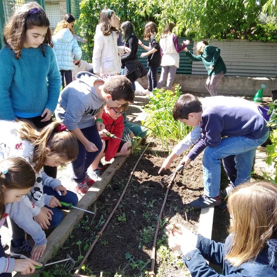 2019_05_06_Quinto en el huerto en mayo_CEIP FDLR_Las Rozas 14