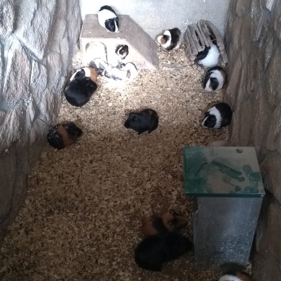 Granja de los Cuentos Infantiles I 32