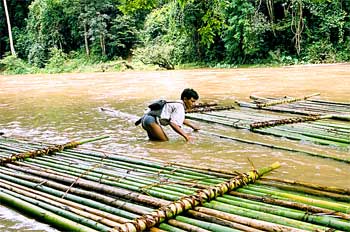 Construcción de balsas de bambú, Tailandia