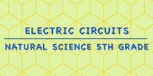 Electric  circuit PROJECT 2024