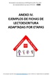 Anexo IV. Materiales adaptados por niveles 2