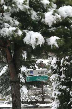 Calles nevadas, Madrid