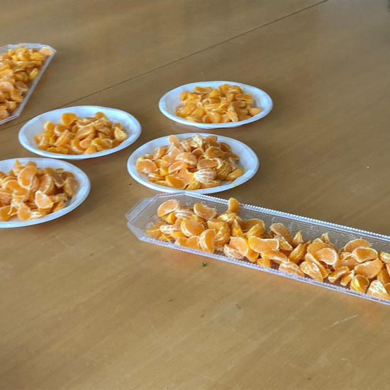 Mentorizacion EI Prado Alto 17