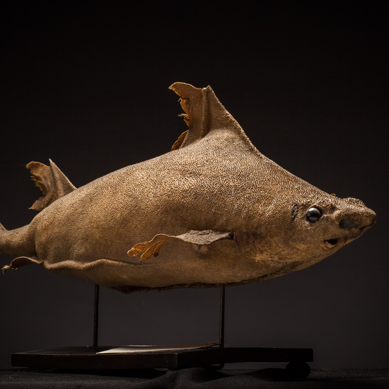 IES_SANISIDRO_BIOLOGIA_388