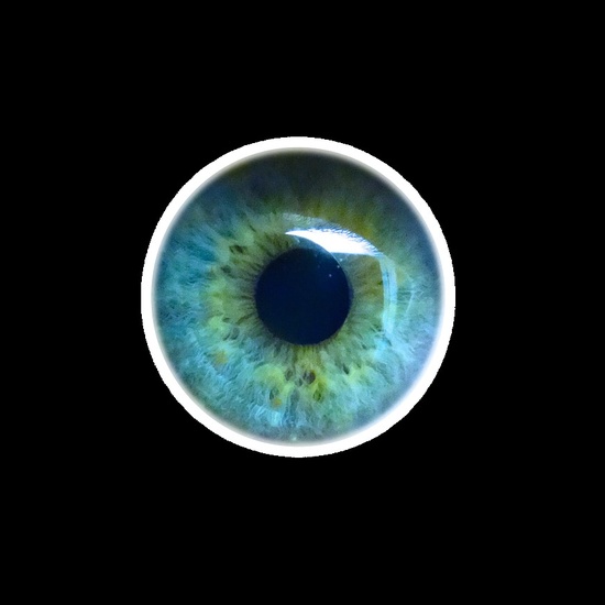 eye-492262_1280