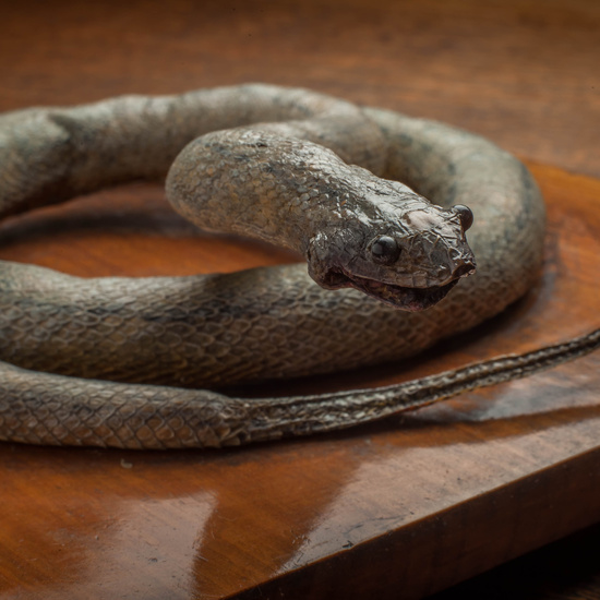 IES_CARDENALCISNEROS_CIENCIASNATURALES_315