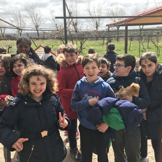 Granja Escuela “El Álamo” 3º y 4º EP_1 19