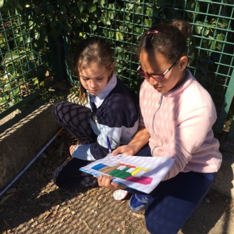 Quinto mide el Colegio 35