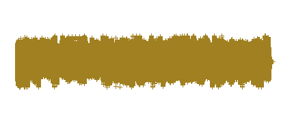 Evaluación Inicial Inglés 4º de Primaria: Audio 2