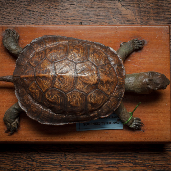 IES_CARDENALCISNEROS_CIENCIASNATURALES_302