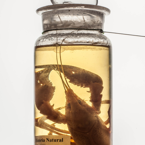 IES_CARDENALCISNEROS_CIENCIASNATURALES_081