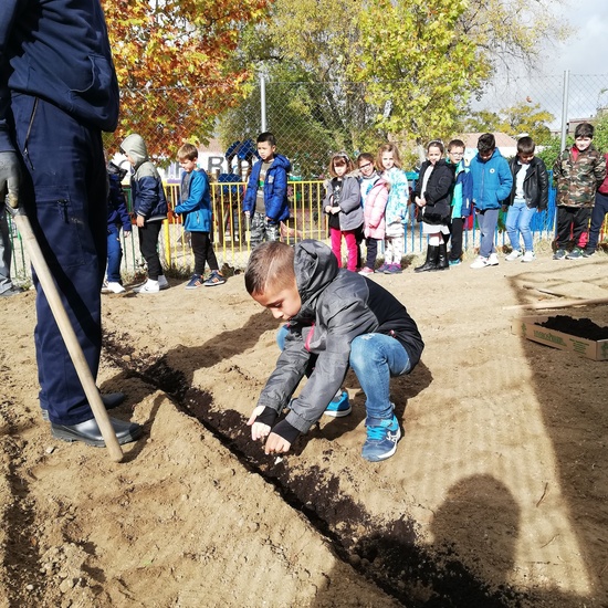 Huerto escolar 2019/20 42