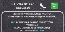 infografía: La vida de las hormigas