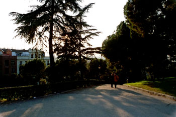 Atardecer en un parque