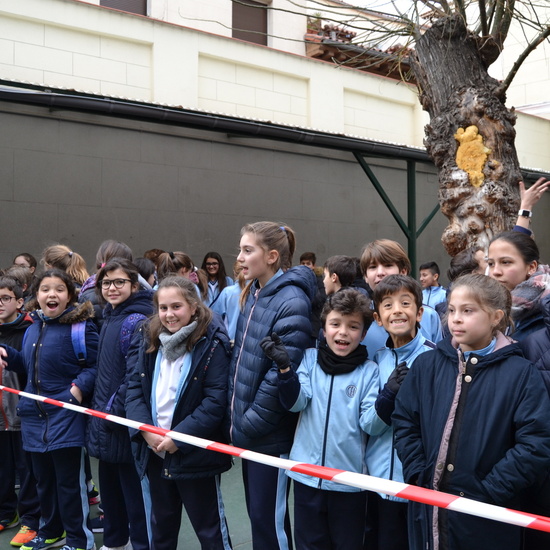 DÍA DE LA PAZ 2019 26