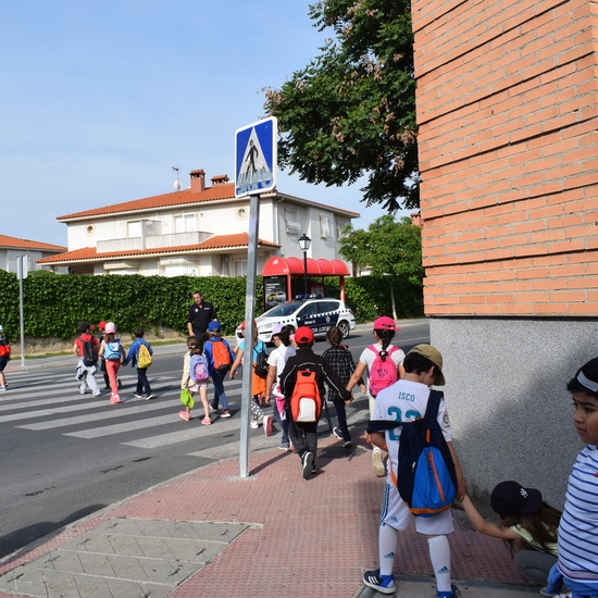 Siembra Huerta Balta 5 años 2018 5
